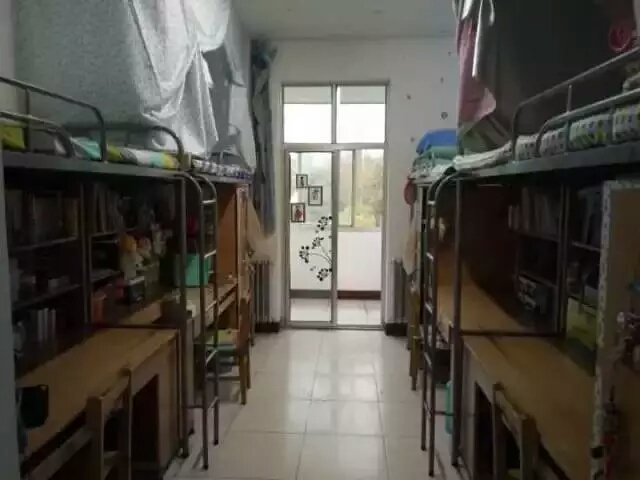 我院对学生公寓开展冬季安全检查-宁夏大学 生命科学图片